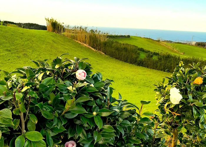 Appartement Casa Da Salga