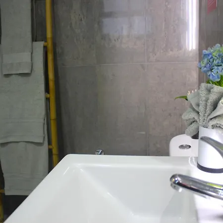 Casa Da Salga Apartamento Nordeste (Azores)