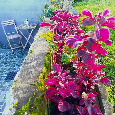 Apartamento Casa Da Salga