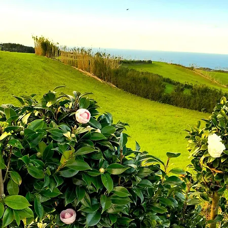 アパート Casa Da Salga