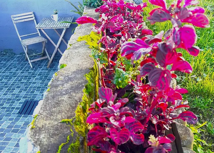 アパート Casa Da Salga